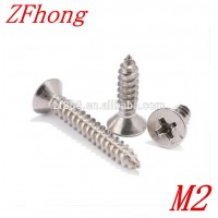 M2*3 /4/5/6 /8/10/12/16/20 2mm phillips stainless steel flat head self tapping screw