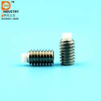 Set socket screw with nylon tip